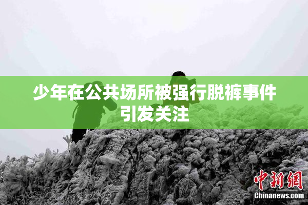 少年在公共场所被强行脱裤事件引发关注
