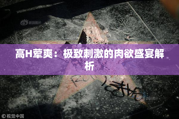 高H荤爽：极致刺激的肉欲盛宴解析
