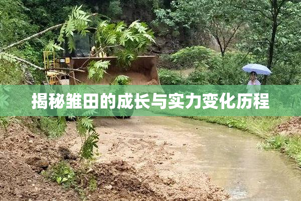 揭秘雏田的成长与实力变化历程