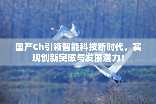 国产Ch引领智能科技新时代，实现创新突破与发展潜力！