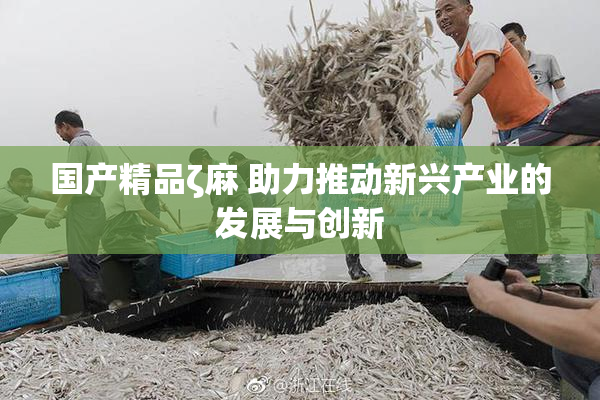 国产精品ζ麻 助力推动新兴产业的发展与创新