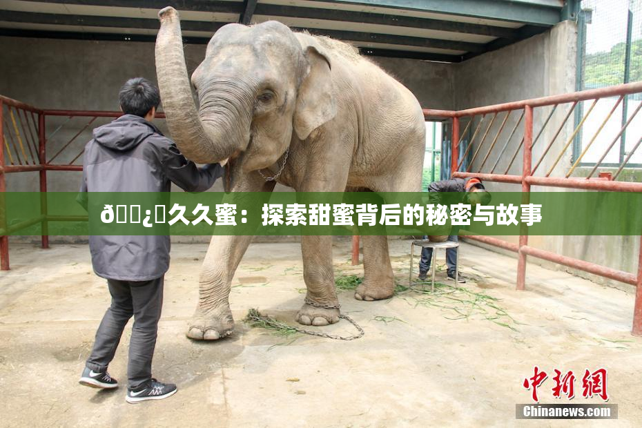 🌿‌久久蜜：探索甜蜜背后的秘密与故事