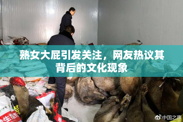 熟女大屁引发关注，网友热议其背后的文化现象