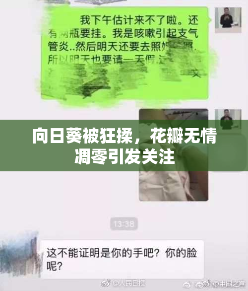 向日葵被狂揉，花瓣无情凋零引发关注