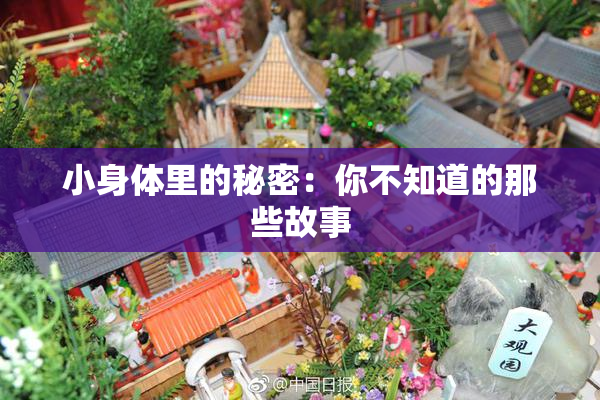 小身体里的秘密：你不知道的那些故事