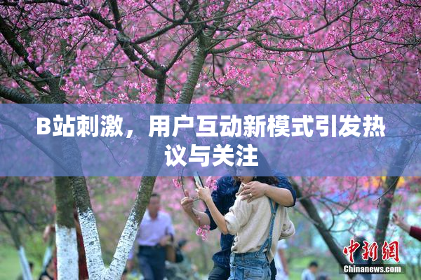 B站刺激，用户互动新模式引发热议与关注