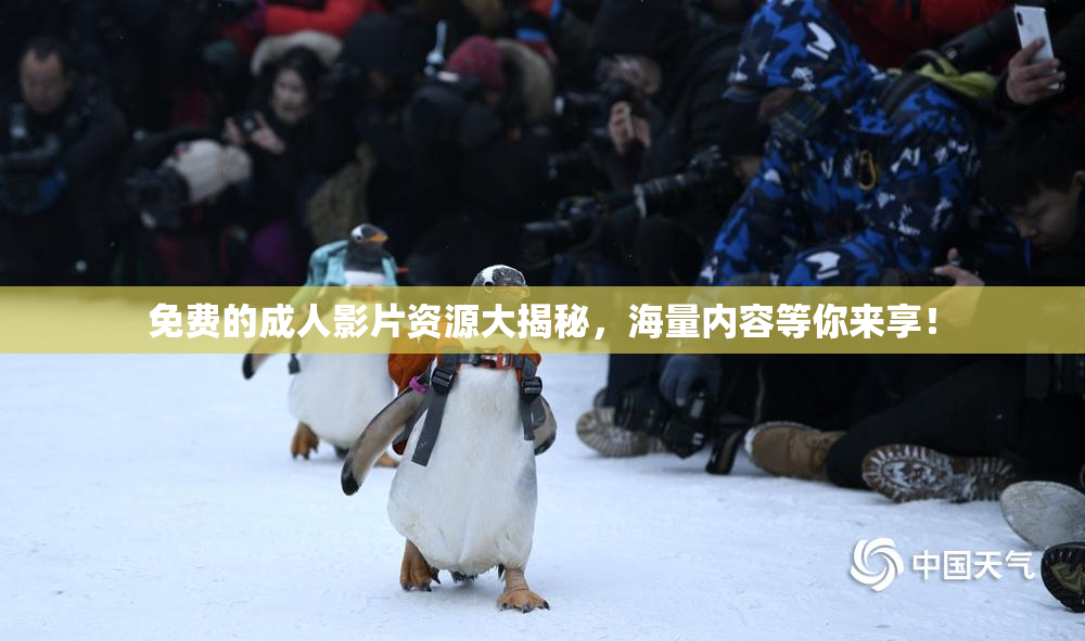 免费的成人影片资源大揭秘，海量内容等你来享！