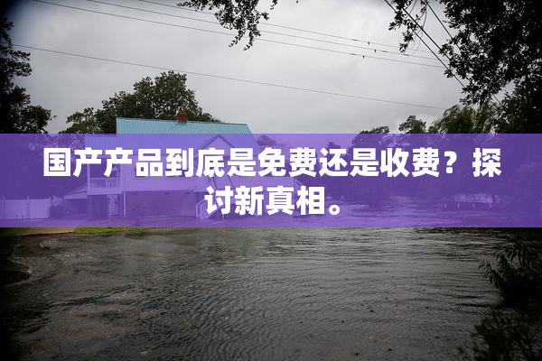 国产产品到底是免费还是收费？探讨新真相。