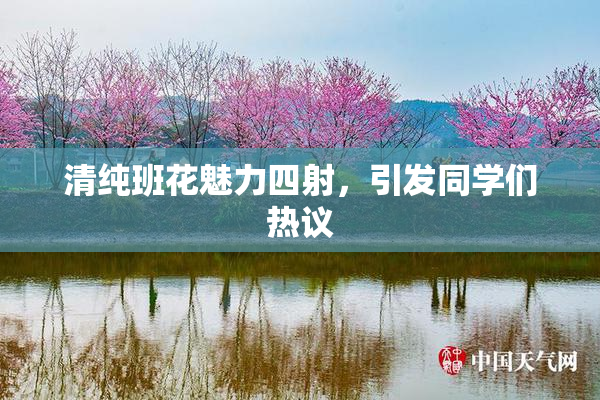 清纯班花魅力四射，引发同学们热议