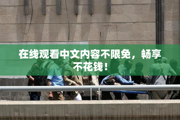 在线观看中文内容不限免，畅享不花钱！