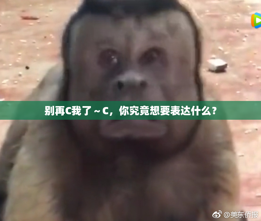 别再C我了～C，你究竟想要表达什么？