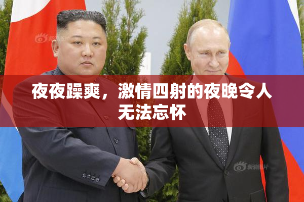 夜夜躁爽，激情四射的夜晚令人无法忘怀