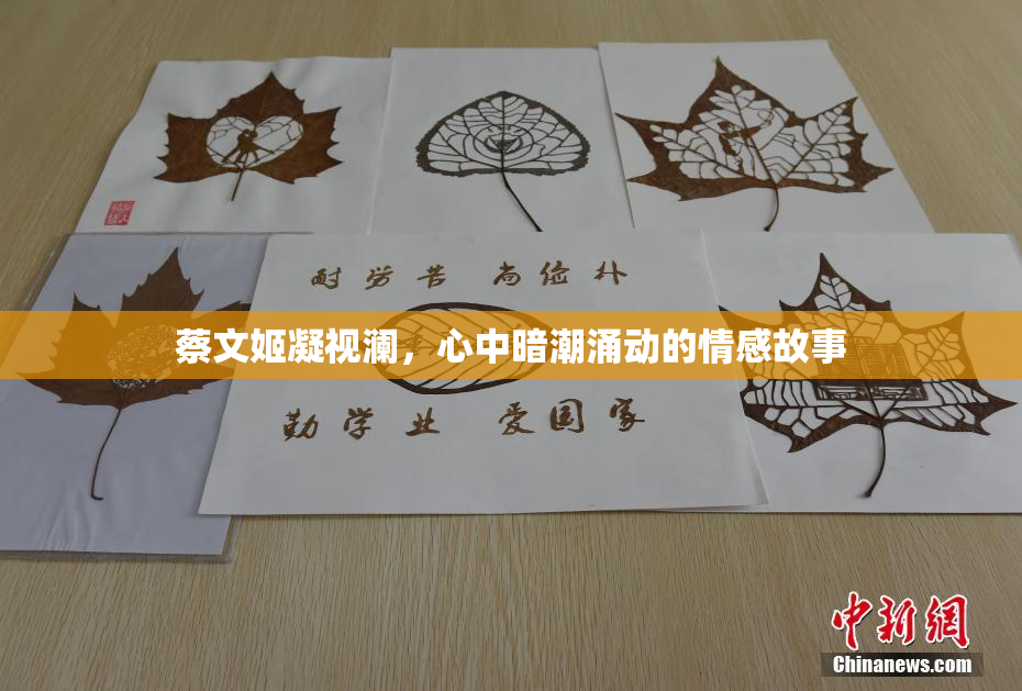 蔡文姬凝视澜，心中暗潮涌动的情感故事