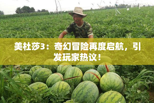 美杜莎3：奇幻冒险再度启航，引发玩家热议！