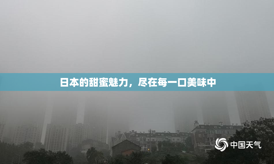 日本的甜蜜魅力，尽在每一口美味中