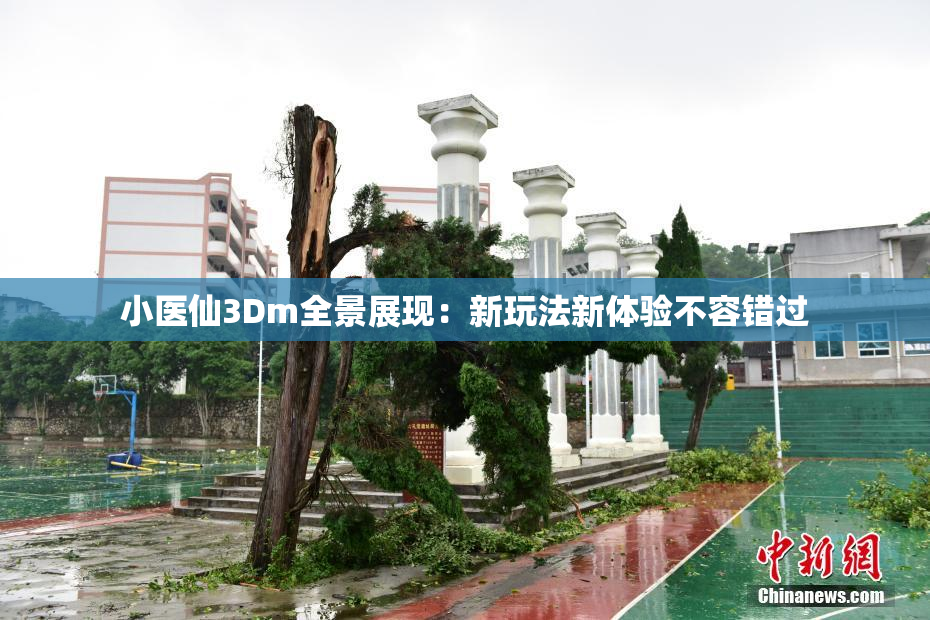 小医仙3Dm全景展现：新玩法新体验不容错过