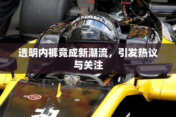 透明内裤竟成新潮流，引发热议与关注