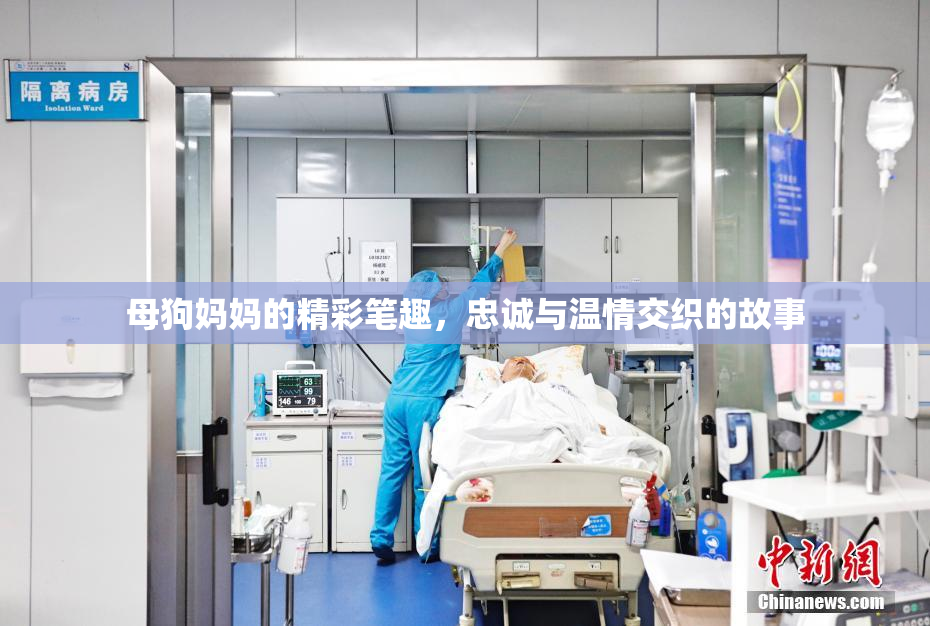 母狗妈妈的精彩笔趣，忠诚与温情交织的故事