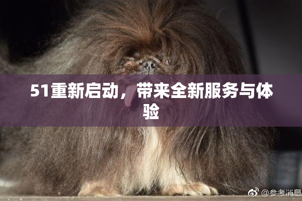 51重新启动，带来全新服务与体验