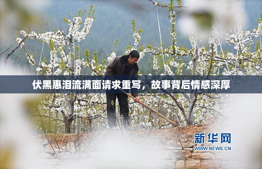 伏黑惠泪流满面请求重写，故事背后情感深厚