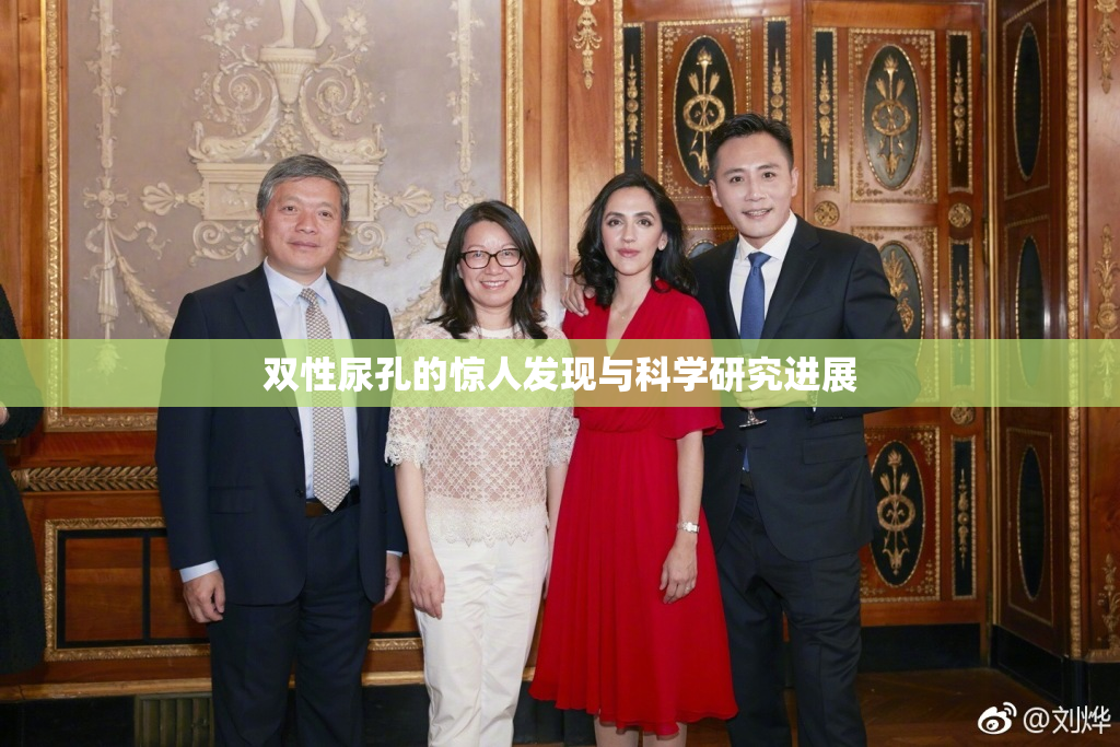 双性尿孔的惊人发现与科学研究进展