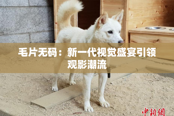 毛片无码：新一代视觉盛宴引领观影潮流