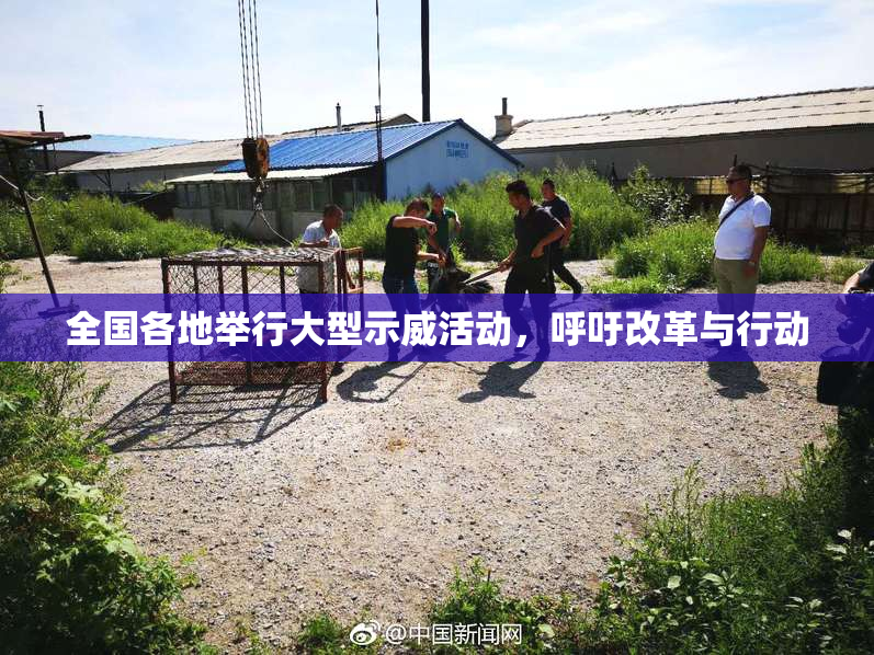 全国各地举行大型示威活动，呼吁改革与行动
