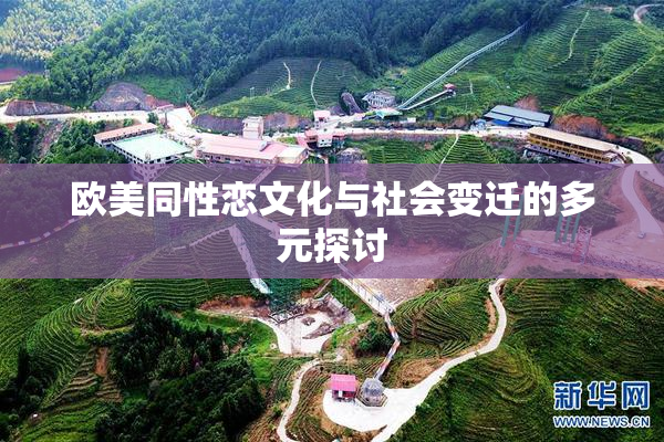 欧美同性恋文化与社会变迁的多元探讨