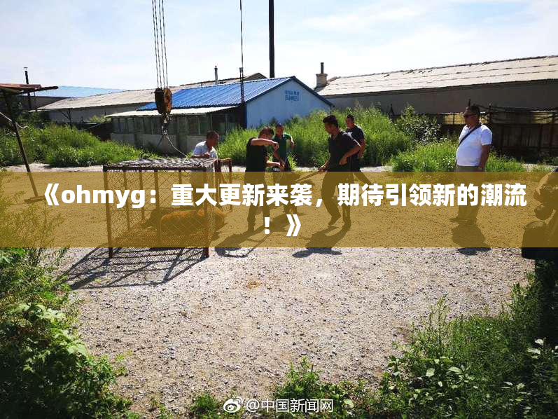 《ohmyg：重大更新来袭，期待引领新的潮流！》