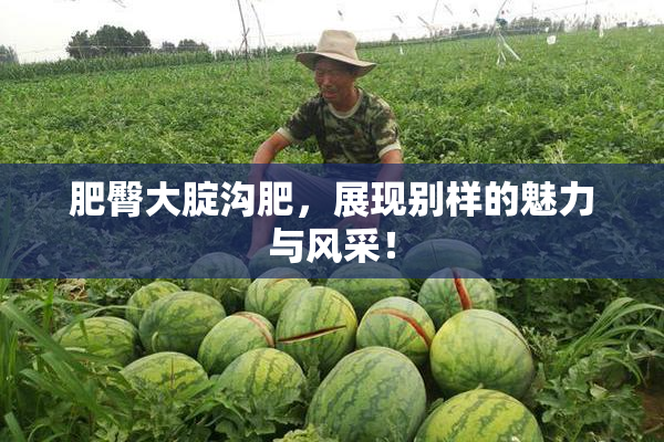 肥臀大腚沟肥，展现别样的魅力与风采！