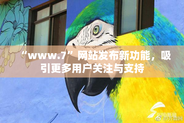 “www.7”网站发布新功能，吸引更多用户关注与支持