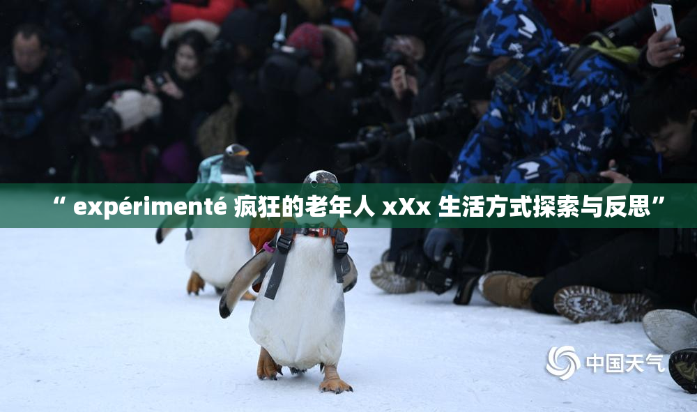 “ expérimenté 疯狂的老年人 xXx 生活方式探索与反思”