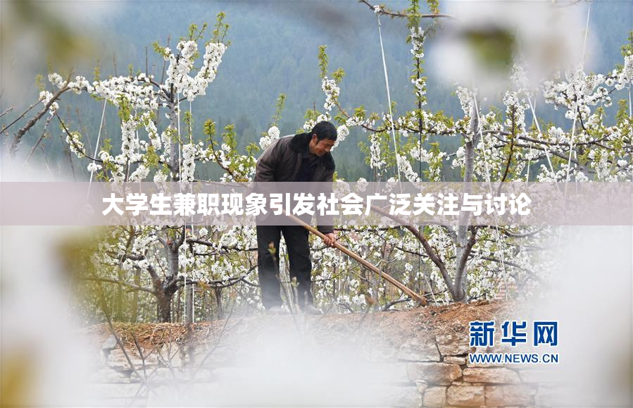 大学生兼职现象引发社会广泛关注与讨论