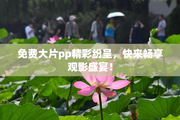 免费大片pp精彩纷呈，快来畅享观影盛宴！