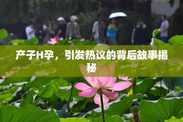 产子H孕，引发热议的背后故事揭秘