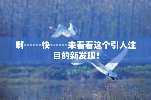 啊┅┅快┅┅来看看这个引人注目的新发现！