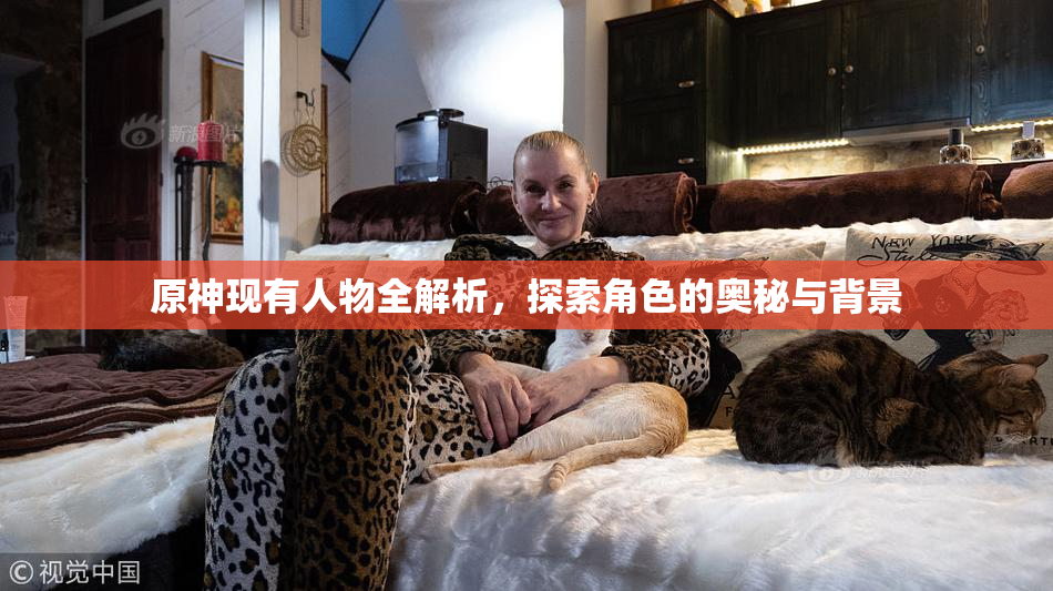 原神现有人物全解析，探索角色的奥秘与背景