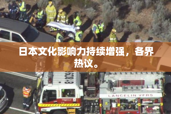 日本文化影响力持续增强，各界热议。