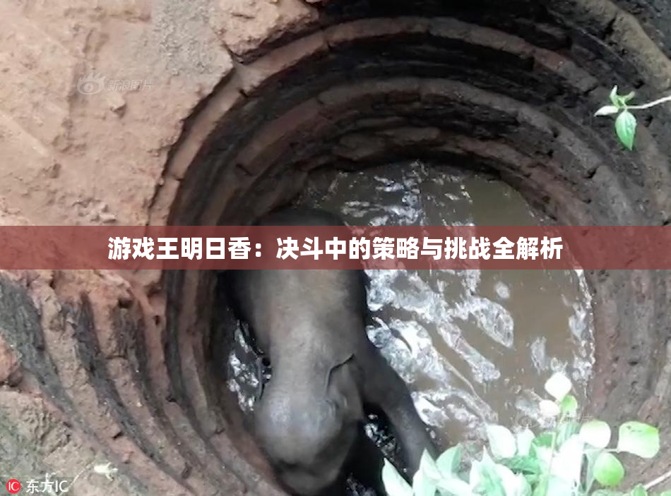 游戏王明日香：决斗中的策略与挑战全解析