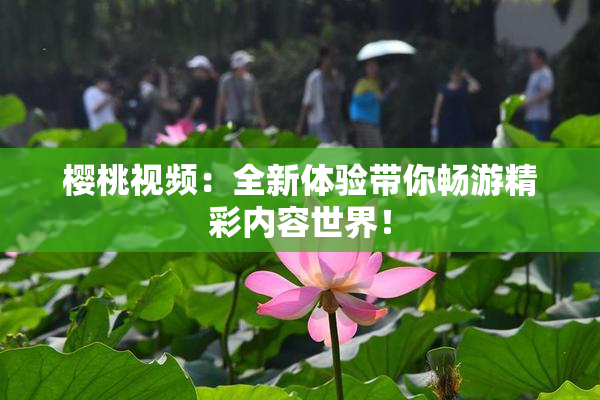 樱桃视频：全新体验带你畅游精彩内容世界！