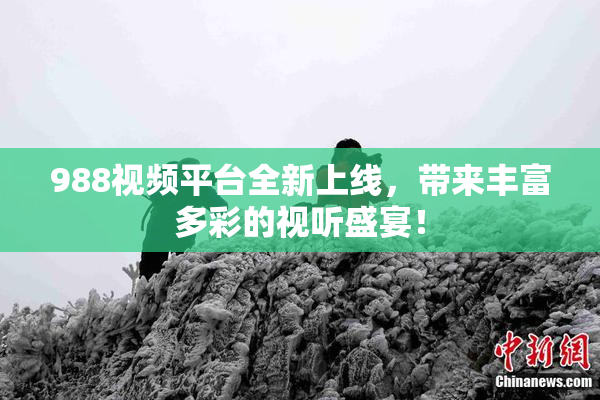 988视频平台全新上线，带来丰富多彩的视听盛宴！