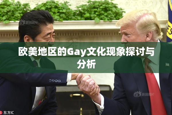 欧美地区的Gay文化现象探讨与分析