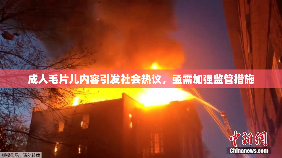 成人毛片儿内容引发社会热议，亟需加强监管措施