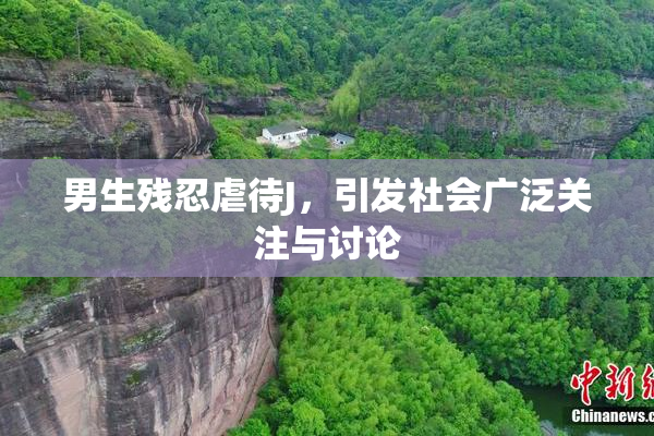男生残忍虐待J，引发社会广泛关注与讨论
