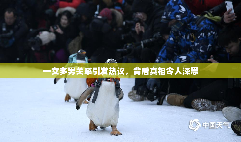 一女多男关系引发热议，背后真相令人深思