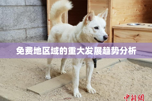 免费地区域的重大发展趋势分析