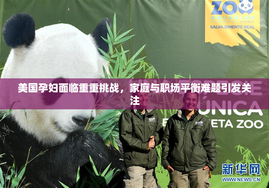 美国孕妇面临重重挑战，家庭与职场平衡难题引发关注