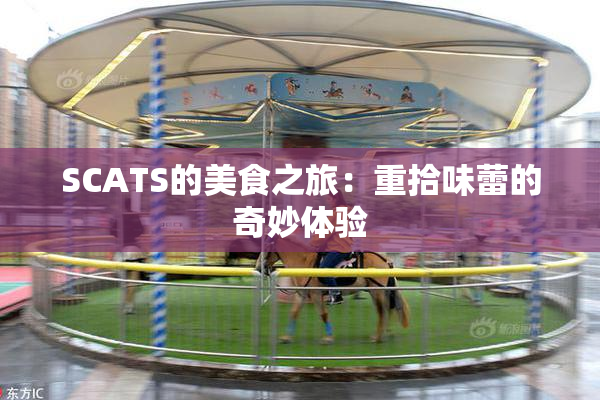 SCATS的美食之旅：重拾味蕾的奇妙体验