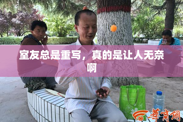 室友总是重写，真的是让人无奈啊