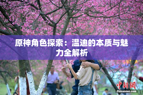 原神角色探索：温迪的本质与魅力全解析